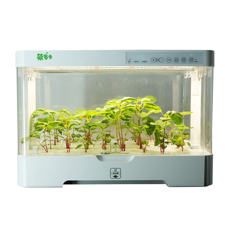 Küçük, İç Mekan İçin Uygun, Ak - Hydroponic Kit incelemesi ve fiyatı