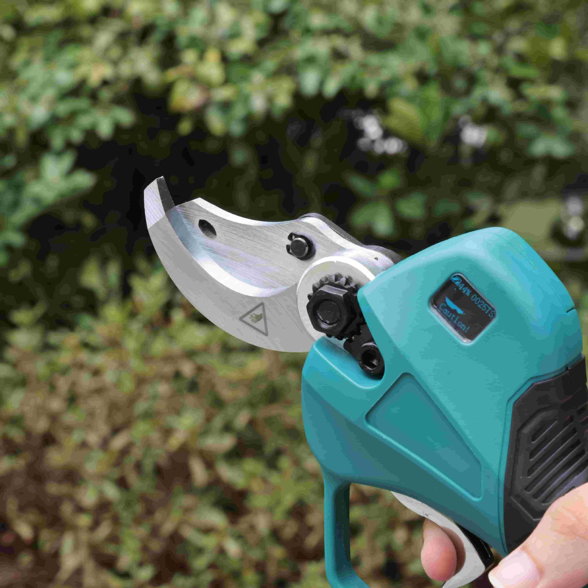 Yüksek direkli bahçe budama ma - Pruning Shears incelemesi ve fiyatı