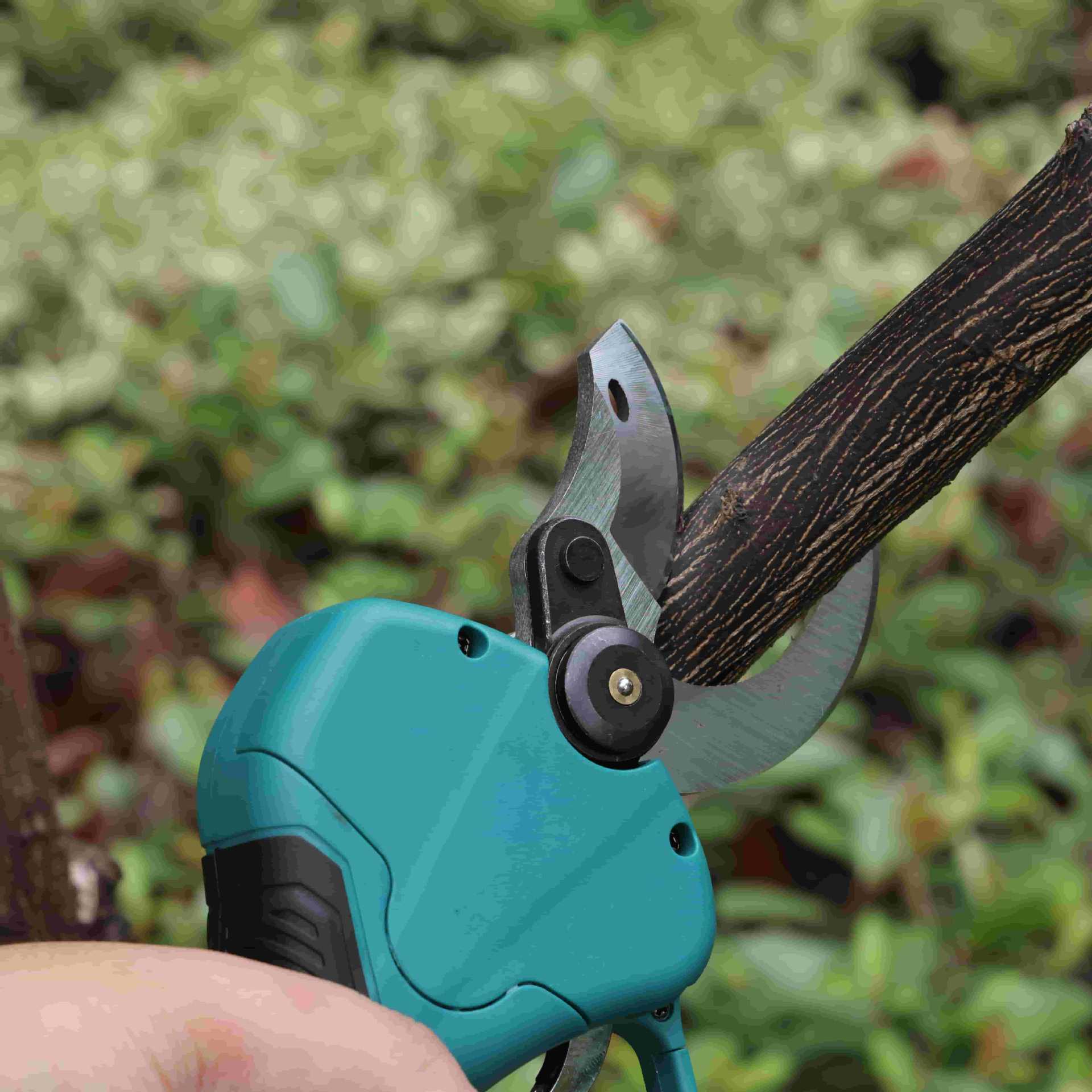 Yüksek direkli bahçe budama ma - Pruning Shears incelemesi ve fiyatı