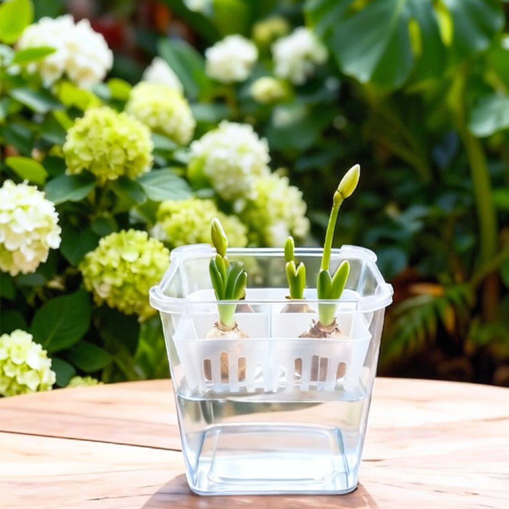 Lale ve Zambak Bulunduğunda Ku - Plant Pot incelemesi ve fiyatı