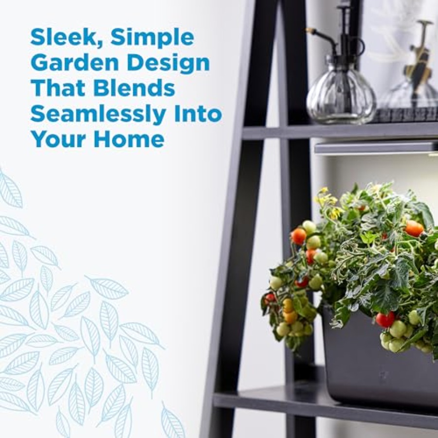 Yıl boyu bitki ve sebze yetişt - Indoor Herb Garden incelemesi ve fiyatı