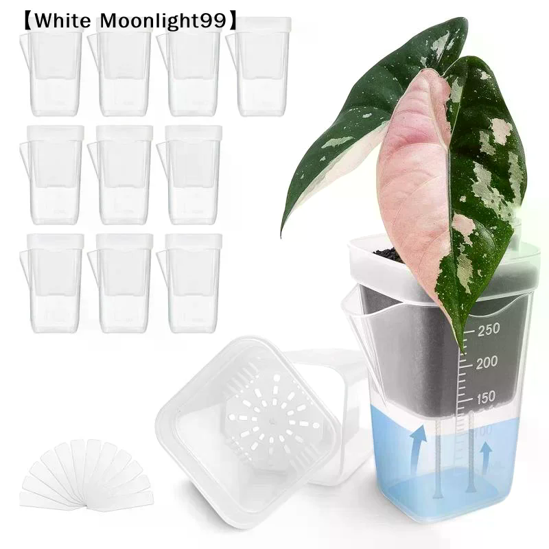 5 adet kendinden sulanan saksı - Self Watering Planter incelemesi ve fiyatı