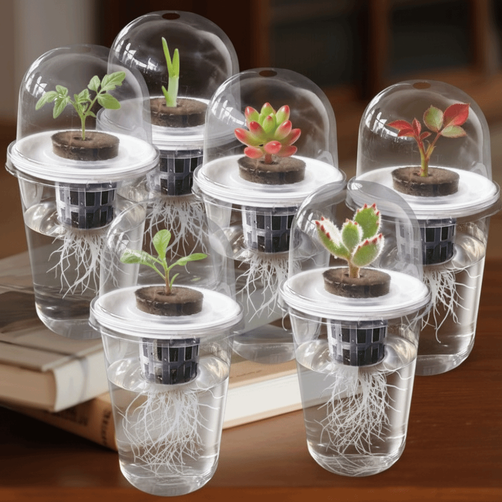 1-5 adet Görünür Şeffaf Bitki  - Seed Starter Tray incelemesi ve fiyatı