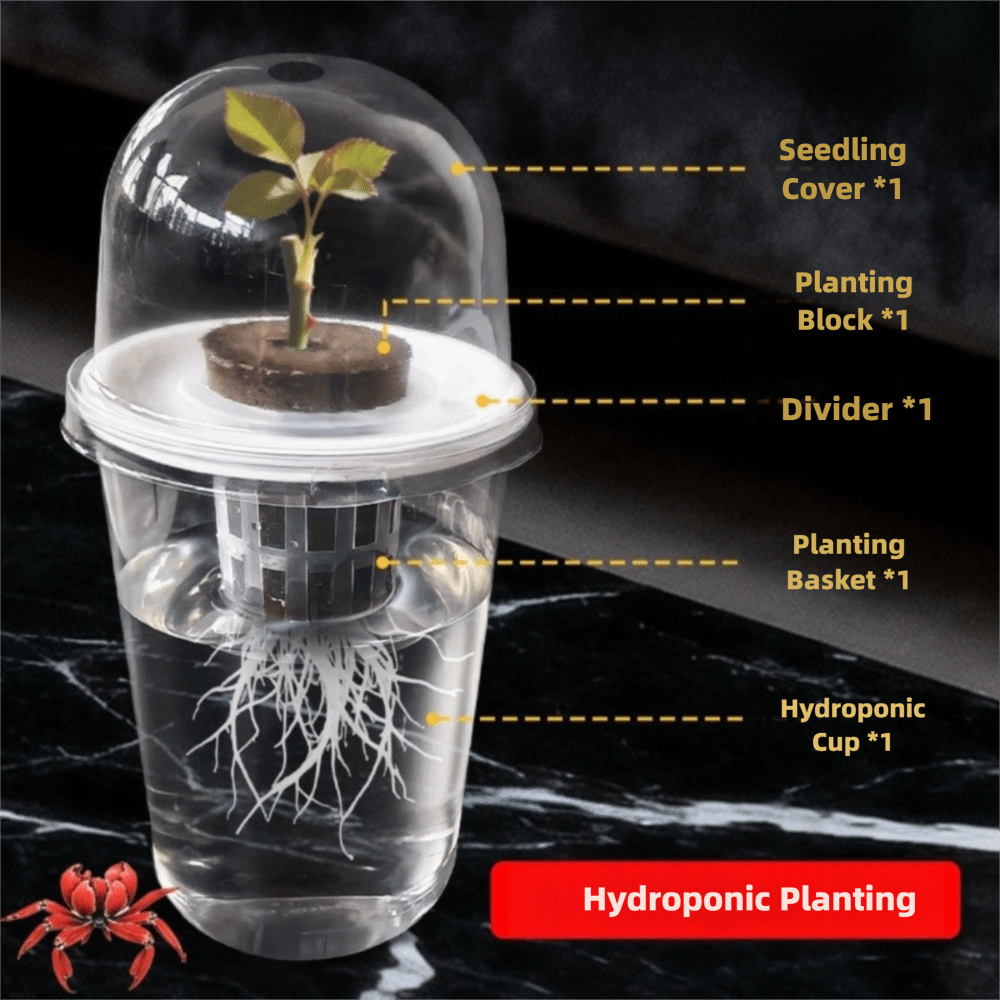 1-5 adet Görünür Şeffaf Bitki  - Seed Starter Tray incelemesi ve fiyatı