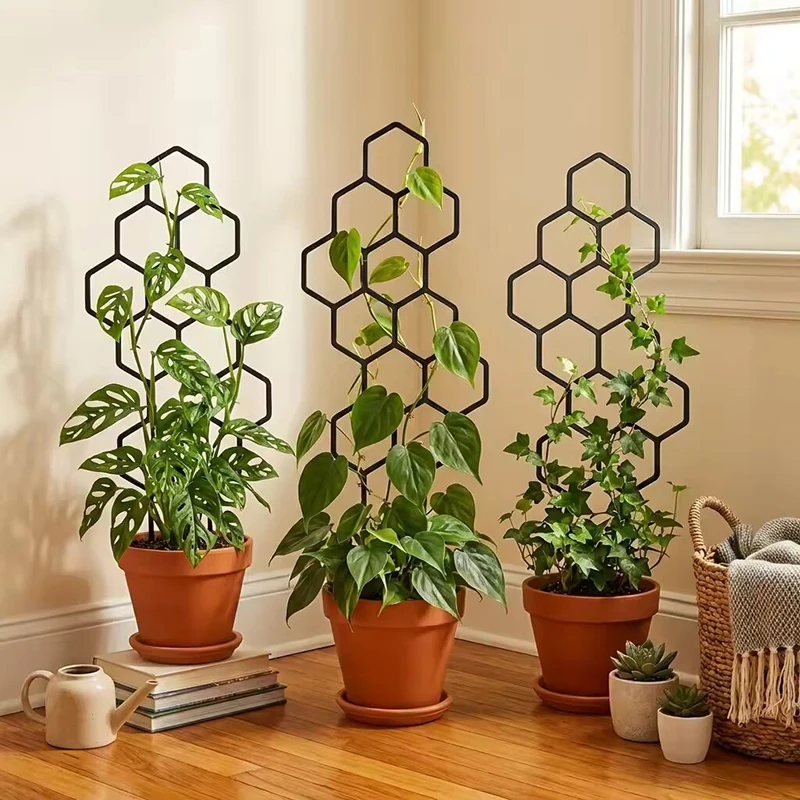 2/4 adet Petek Tasarımlı Bitki - Indoor Herb Garden incelemesi ve fiyatı
