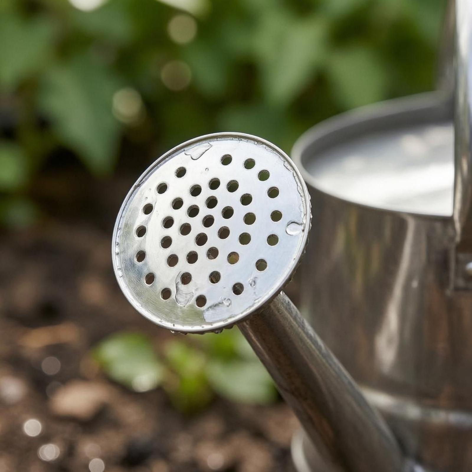 Bahçe Çiçek Sulama Kovası Pasl - Watering Can incelemesi ve fiyatı