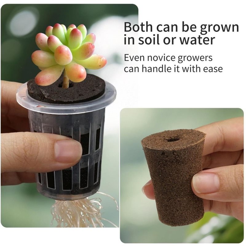 [ABFI!] Hidroponik Fide Kaplar - Hydroponic Kit incelemesi ve fiyatı