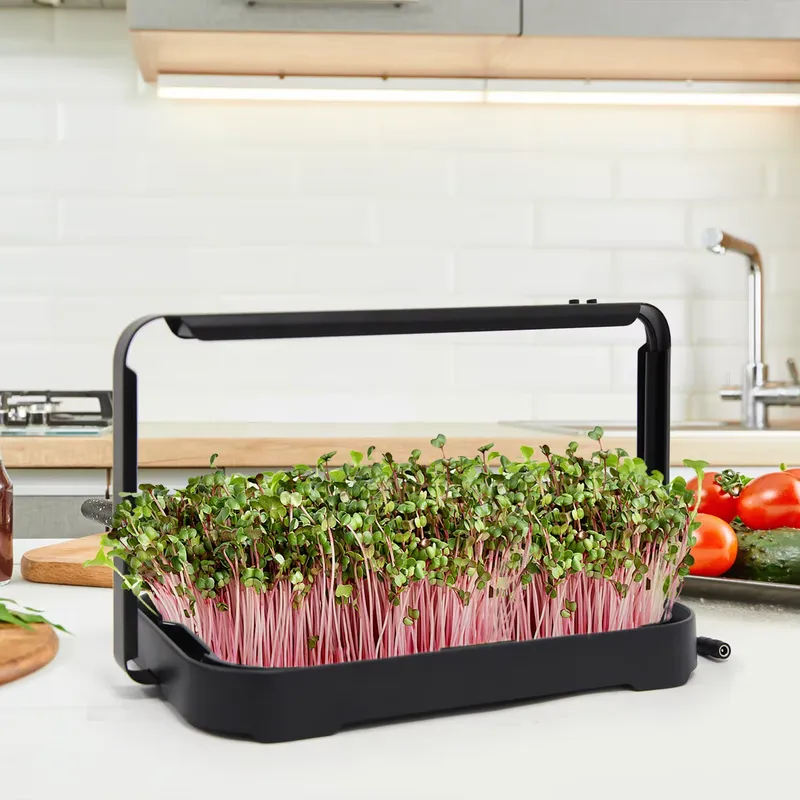 Hidroponik Tepsi İç Mekan Mikr - Hydroponic Kit incelemesi ve fiyatı