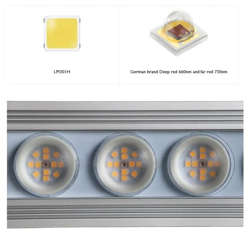 Koray 900W İç Mekan Tam Spektr - Grow Light Led incelemesi ve fiyatı