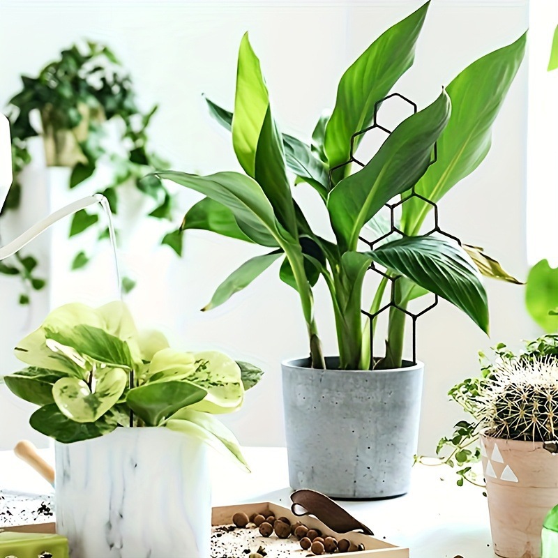 1 adet petek tasarımlı bitki k - Indoor Herb Garden incelemesi ve fiyatı